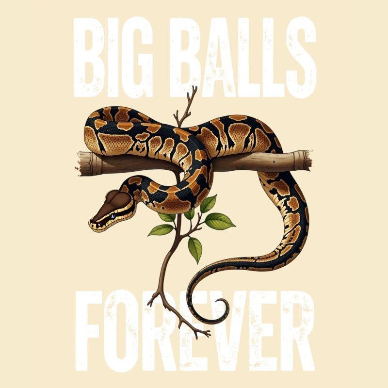 Python roi Serpents Amateurs de terrarium Python