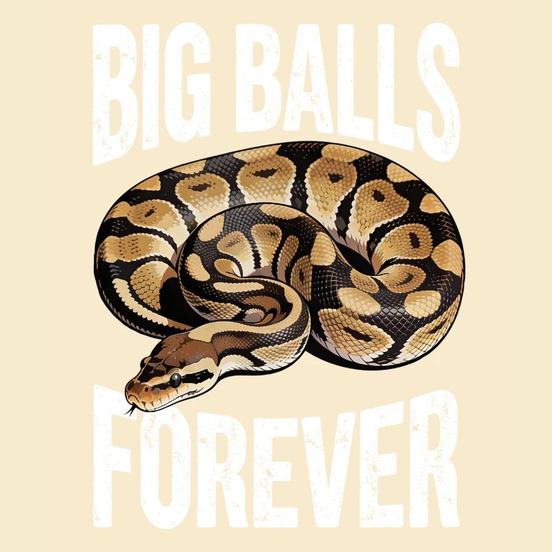 King Python Snakes Lover Terrarium Python