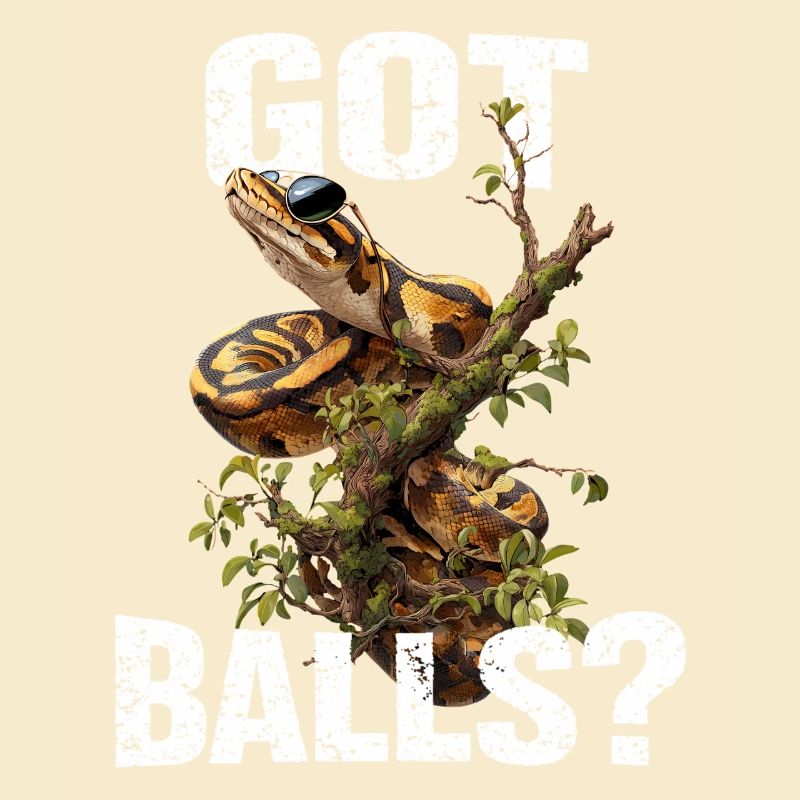 Python roi Serpents Amateurs de terrarium Python