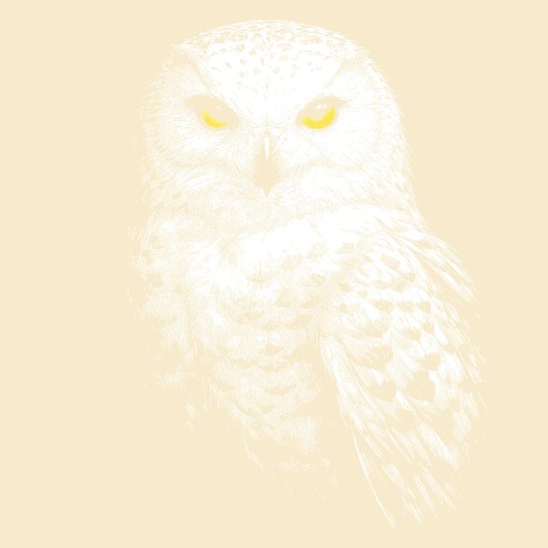 Schneeeule