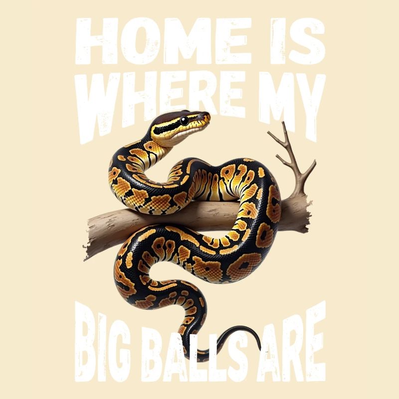 Python roi Serpents Amateurs de terrarium Python