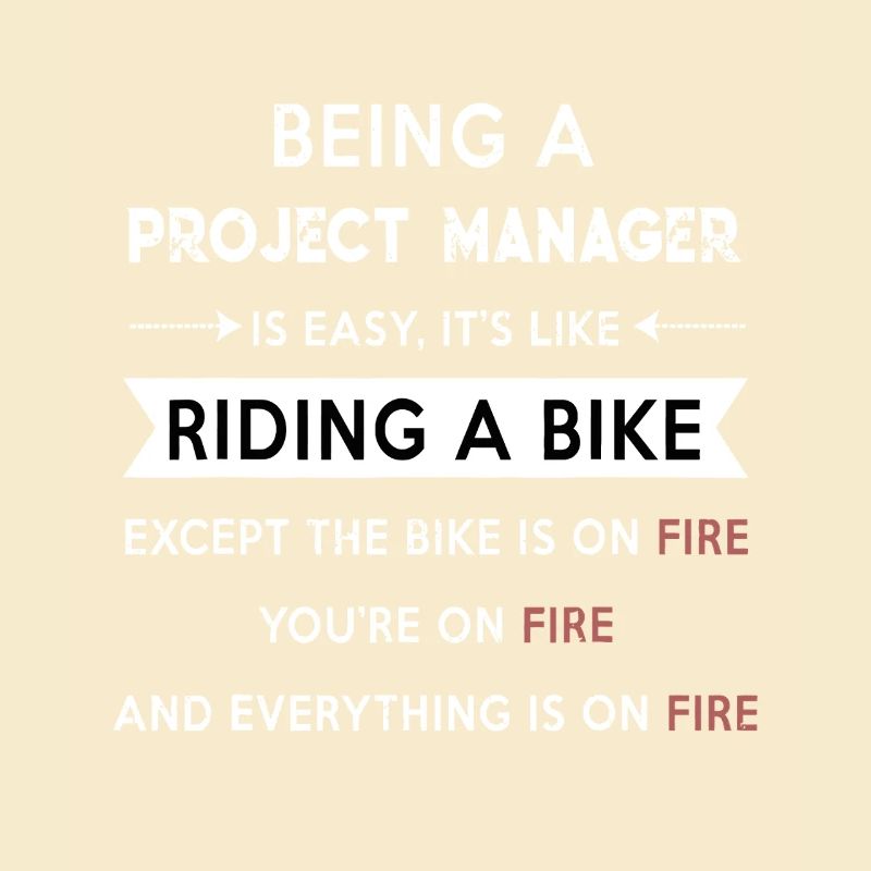 Project Manager on Fire