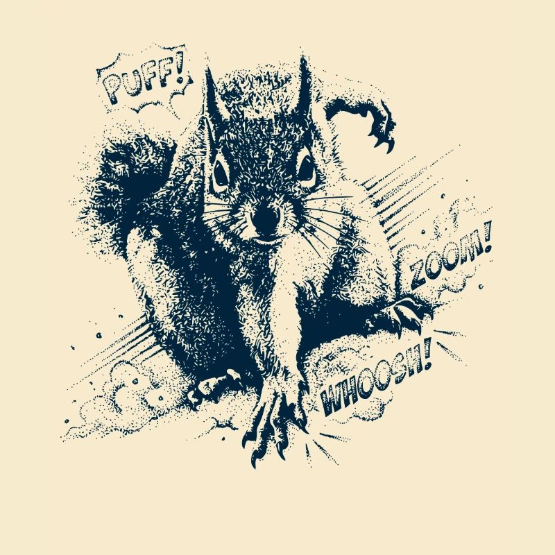 Squirrel Superhero