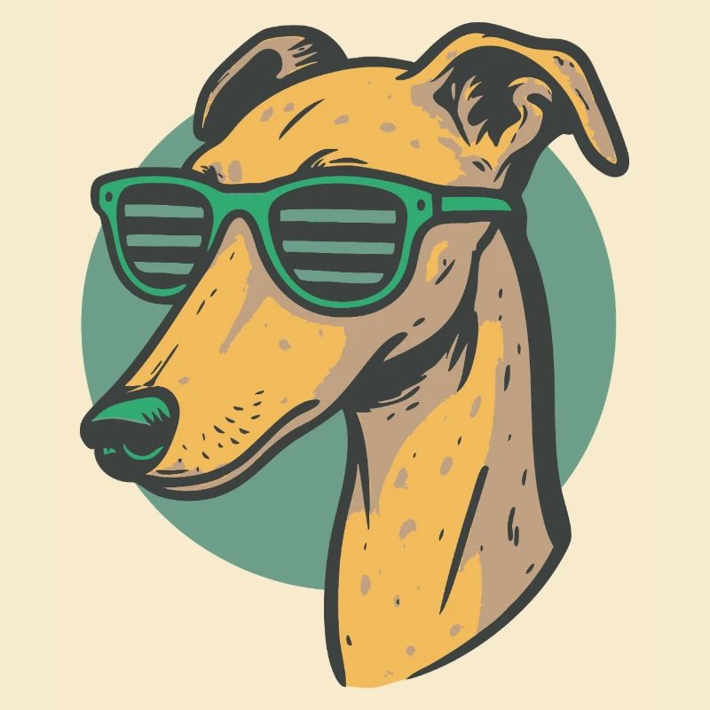 Windhund, Galgo