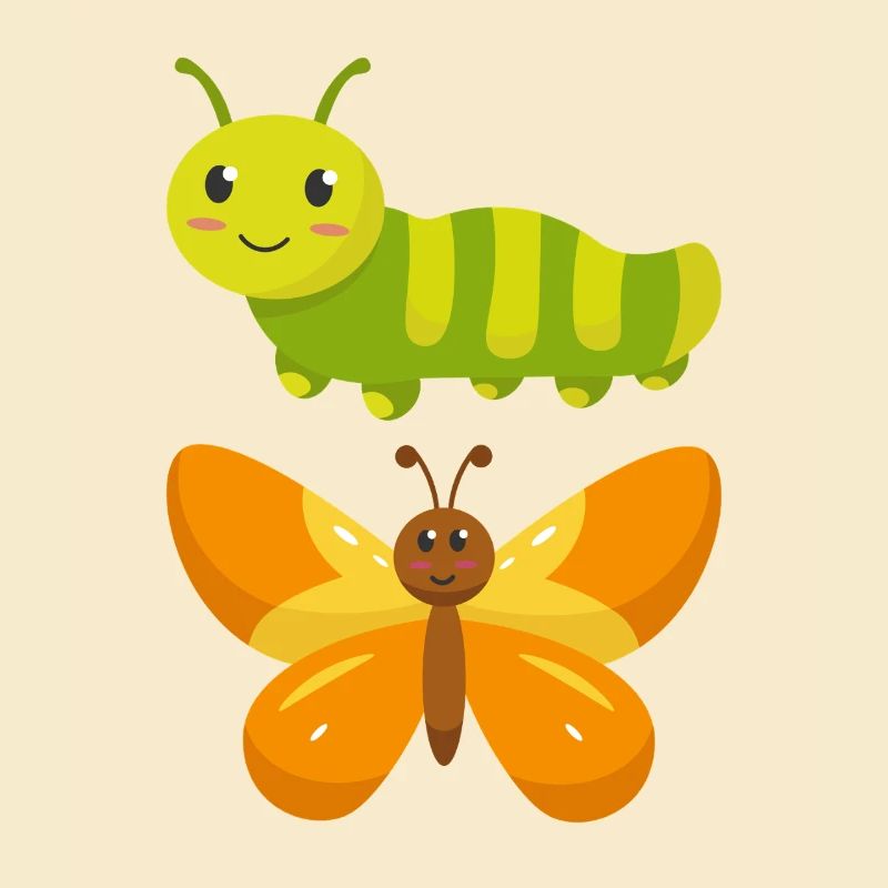 De la chenille au papillon
