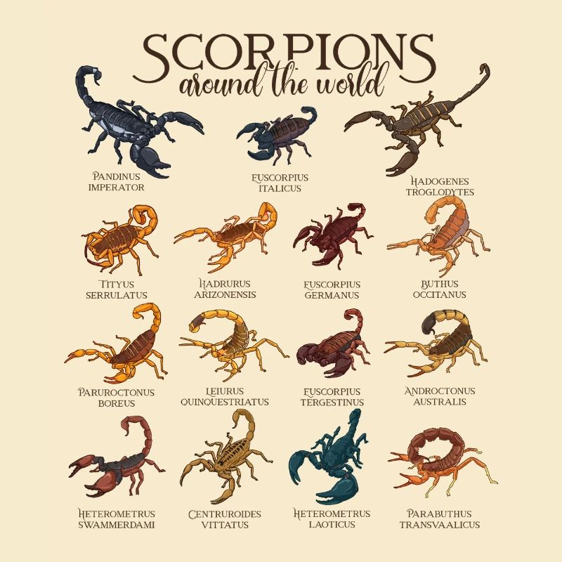 Scorpios Worldwide - Scorpio