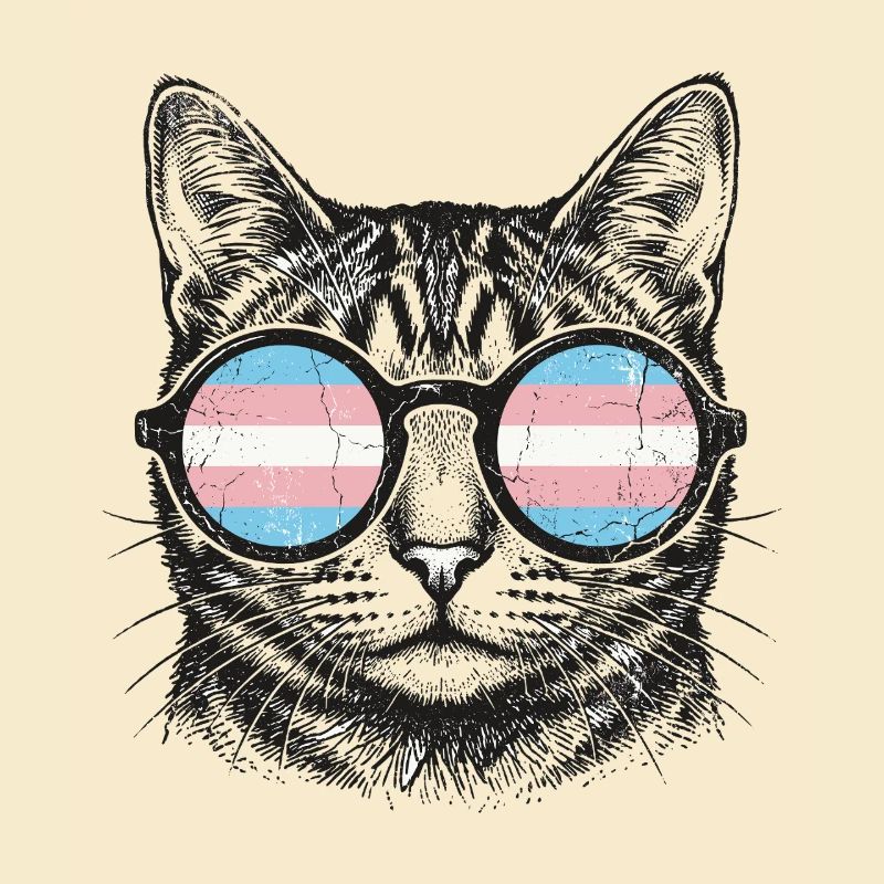 LGBT-Pride-Monat – Trans-Pride-Katze