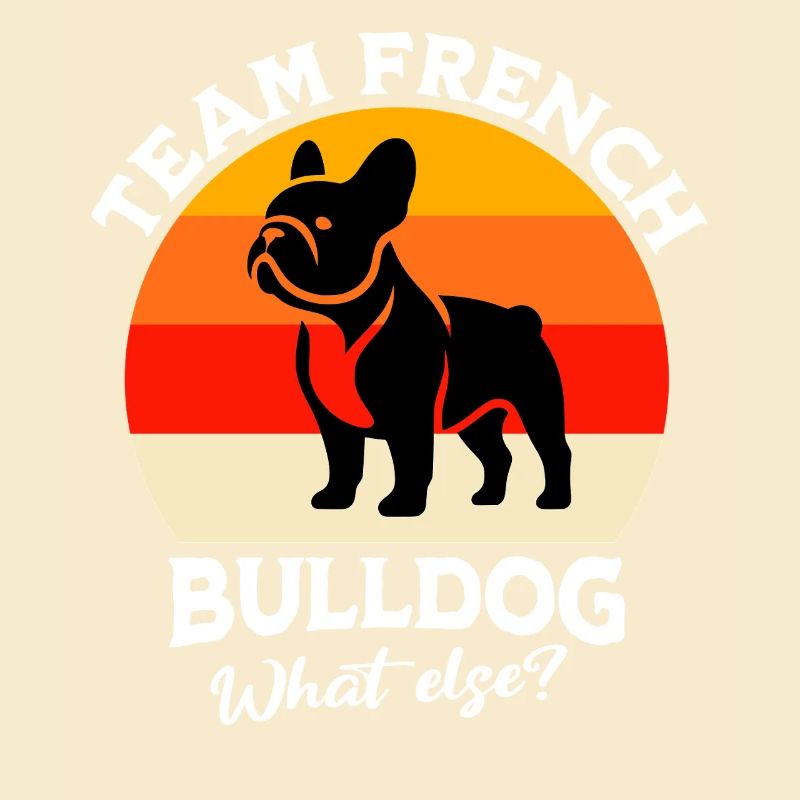 Équipe Bouledogue Français