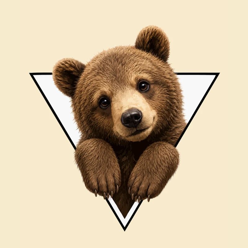 Bear cub in triangle