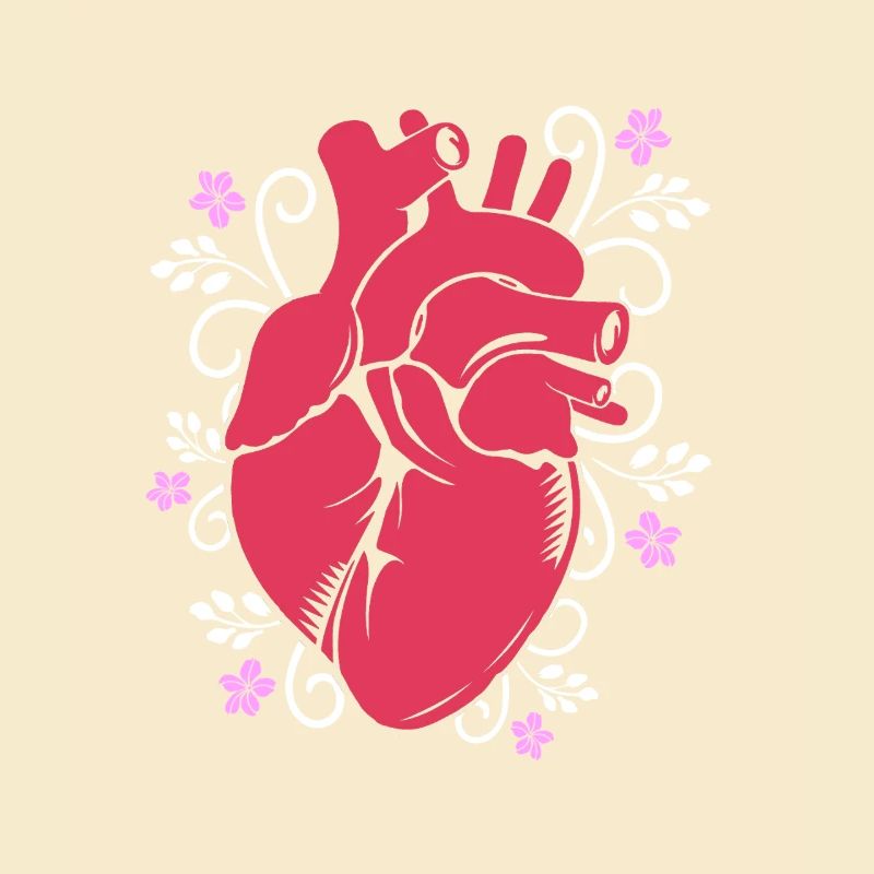 Cardiogram, cardiography, sonography, ultrasound