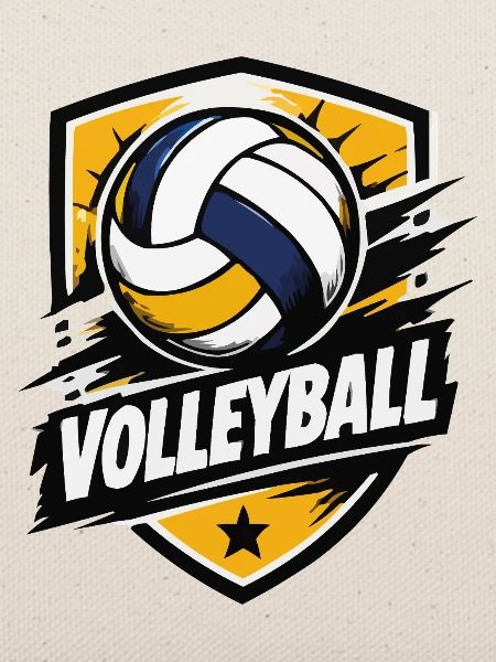 Schlagkraft Volleyball Shield