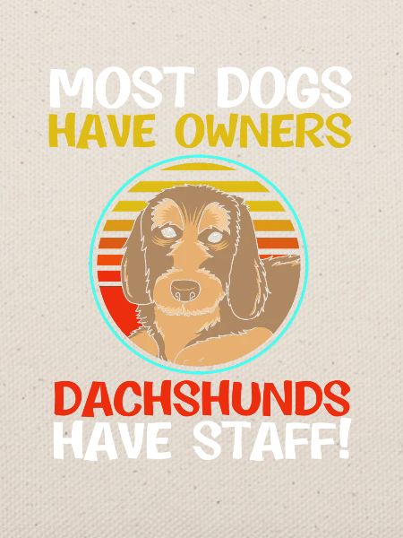 Rauhaardackel Dachshund