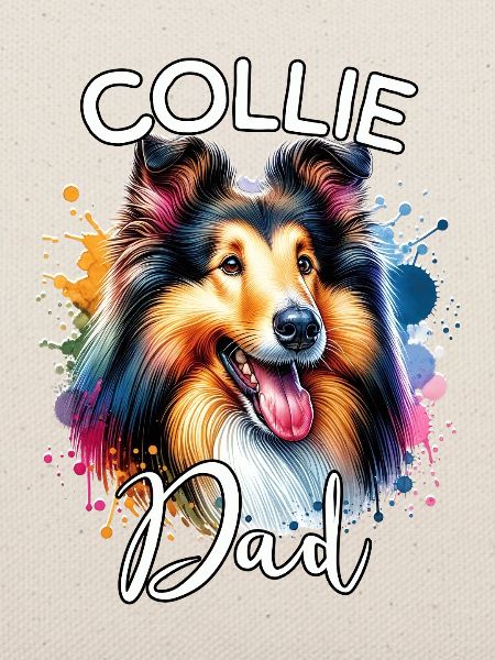 Langhaar Collie Papa