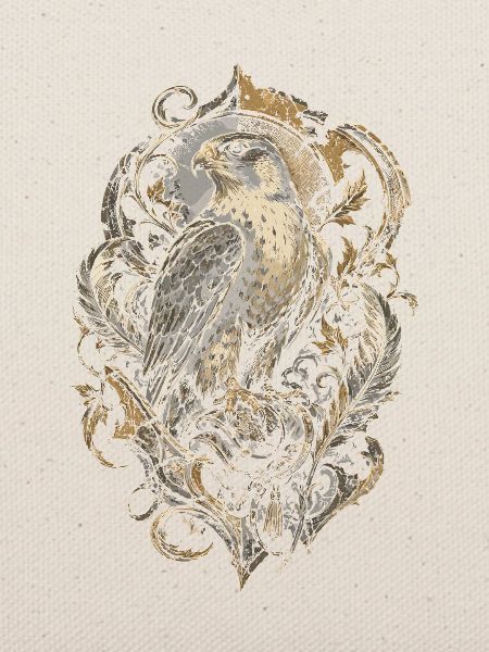 Falconry Falconers