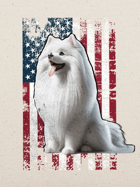 German Spitz US Spitz Zwergspitz