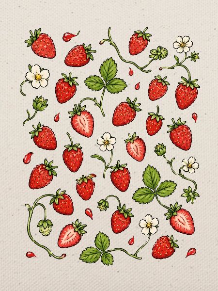 Erdbeeren | Beeren Garten & Sommer