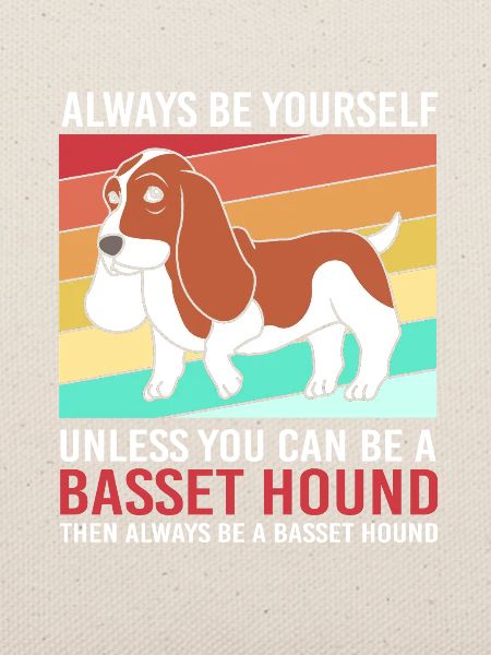 Basset Hound