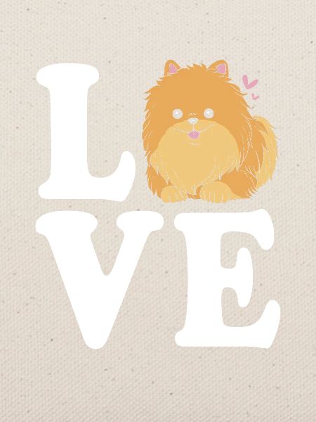Pomeranian Zwergspitz Hund