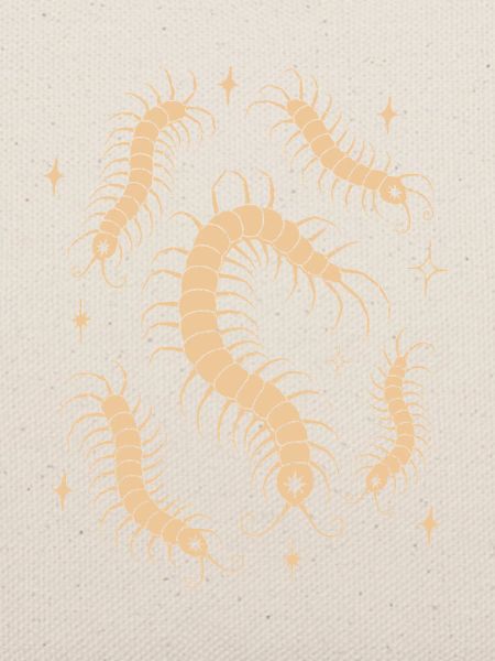 Magische Tausendfüßler Celestial