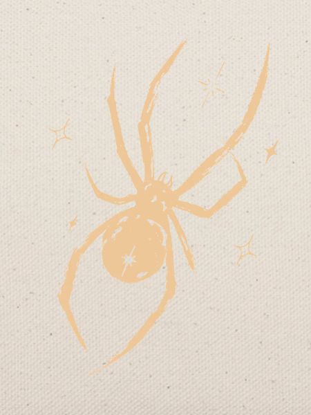 Spinne Celestial Natur