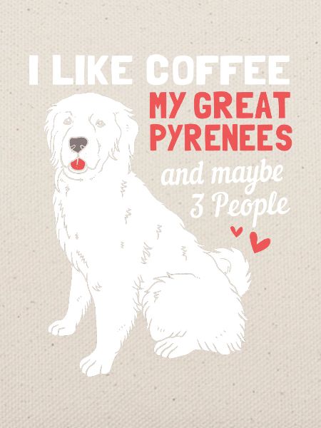 Pyrenäenhund