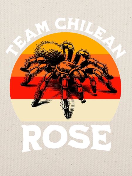 Team Chile Vogelspinne
