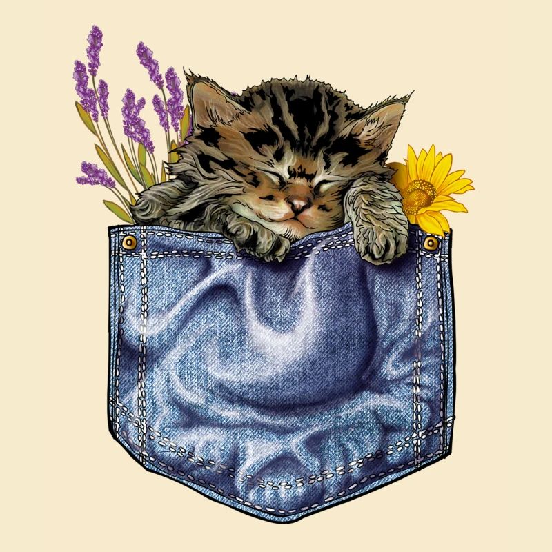 kitten pocket