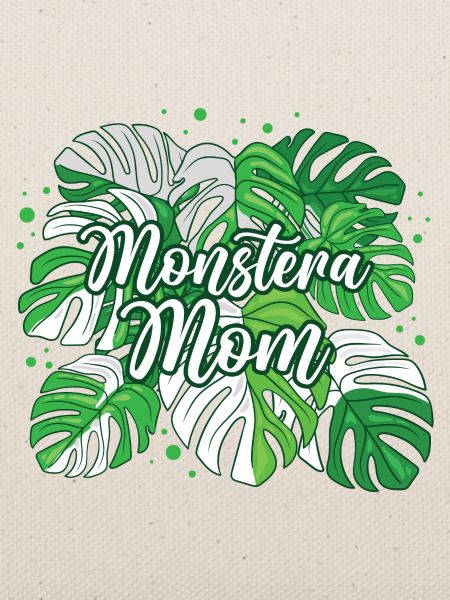 Variegated Monstera Mom