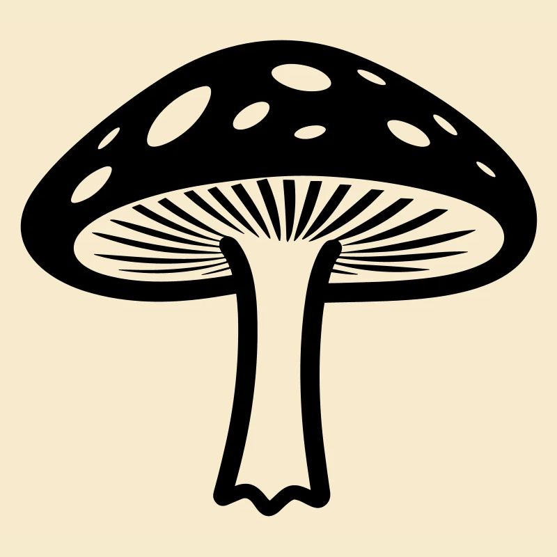 Pilz