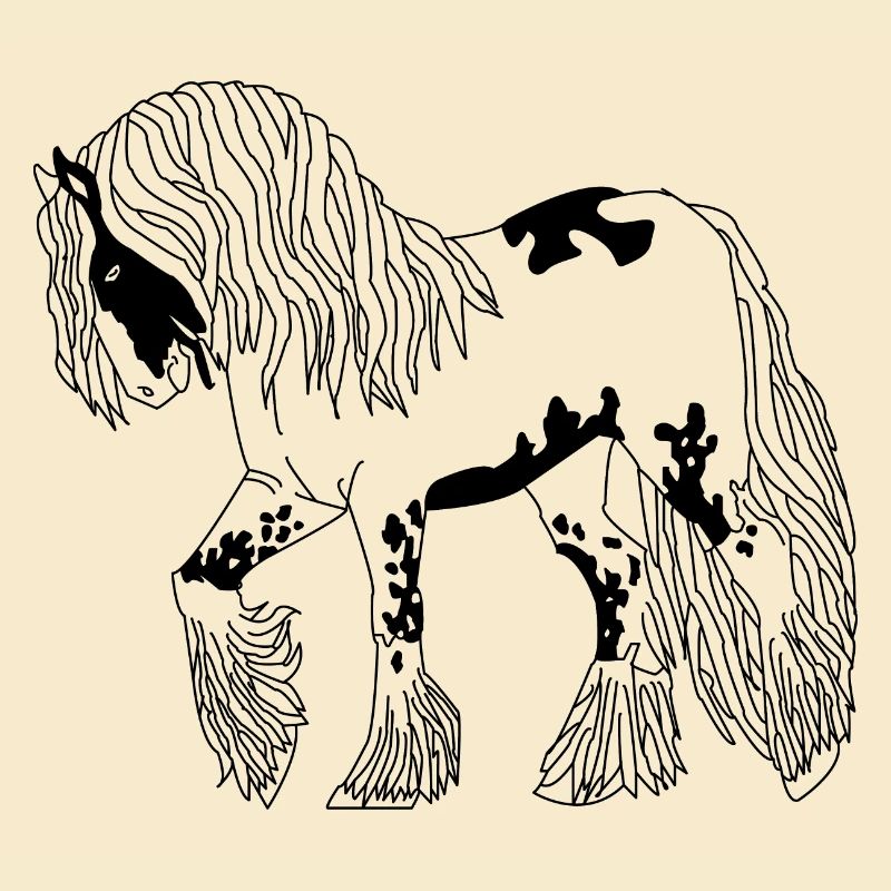 Tinker Liebe Pferd Pony
