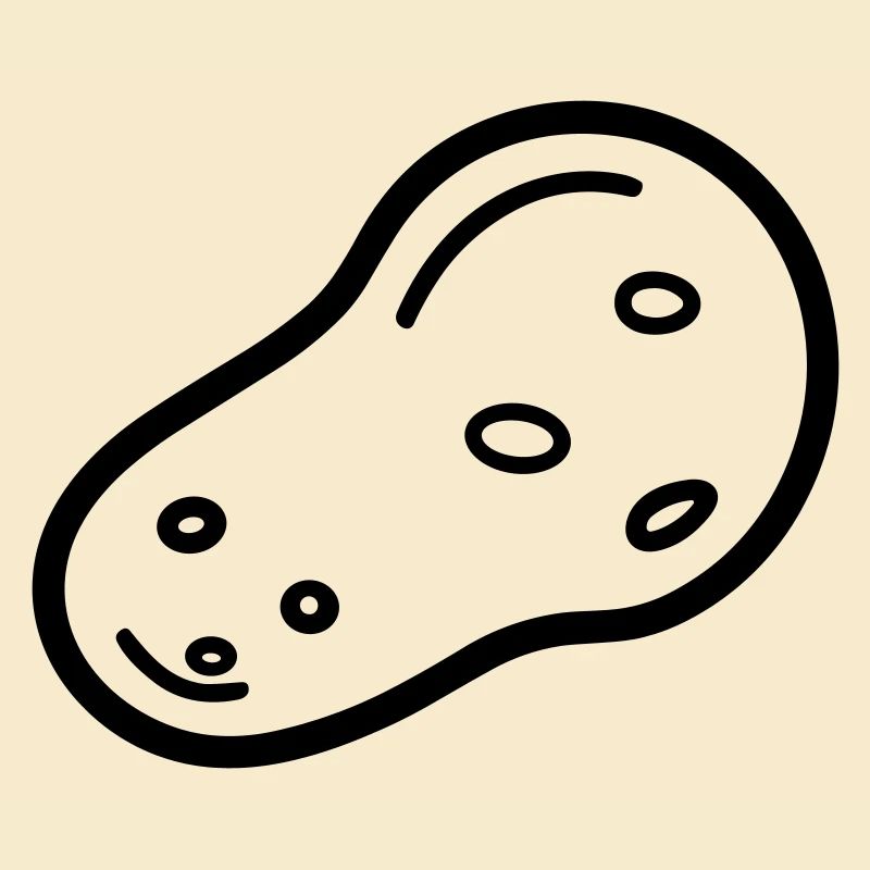 potato