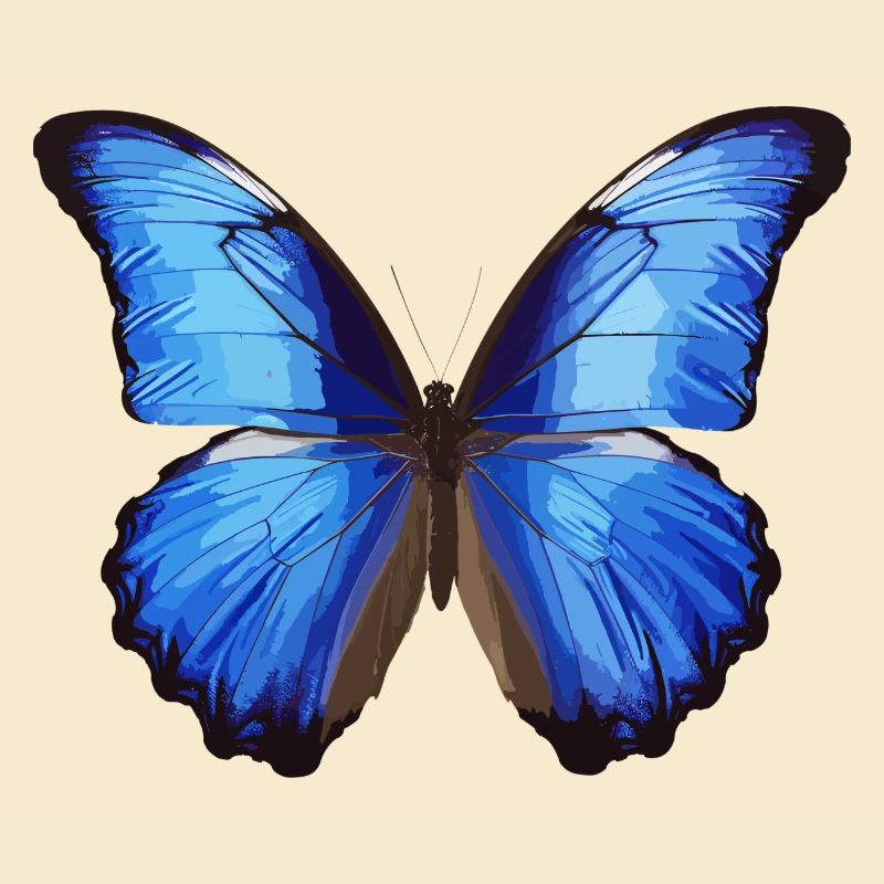 Morpho Papillon Bleu