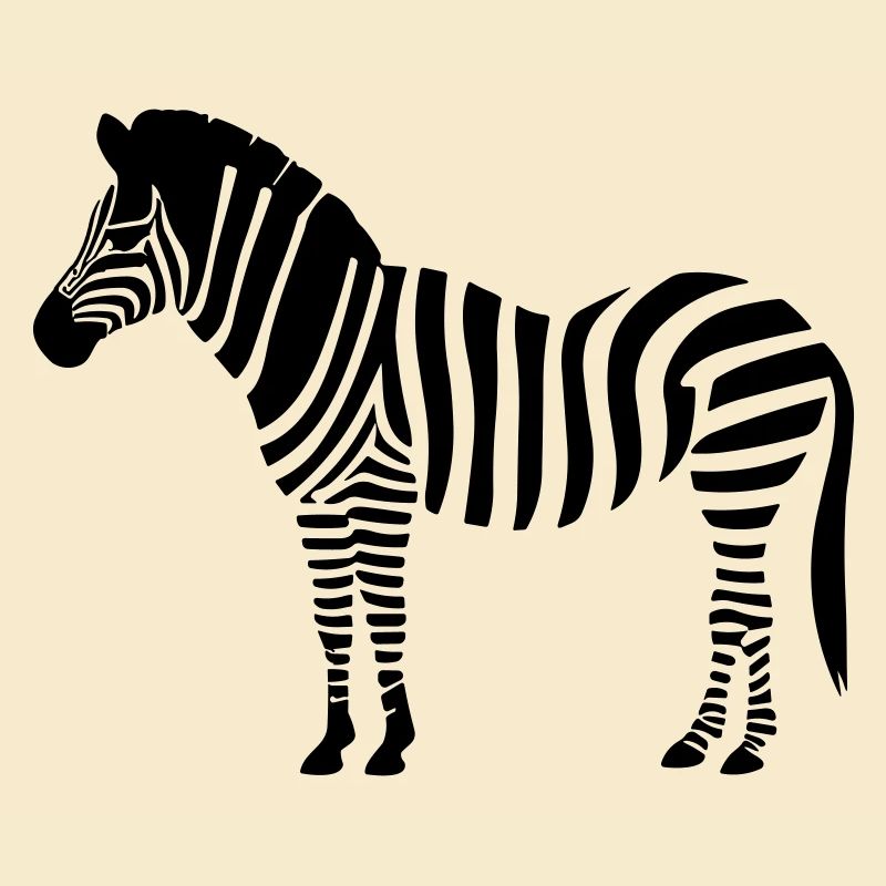 Little Zebra
