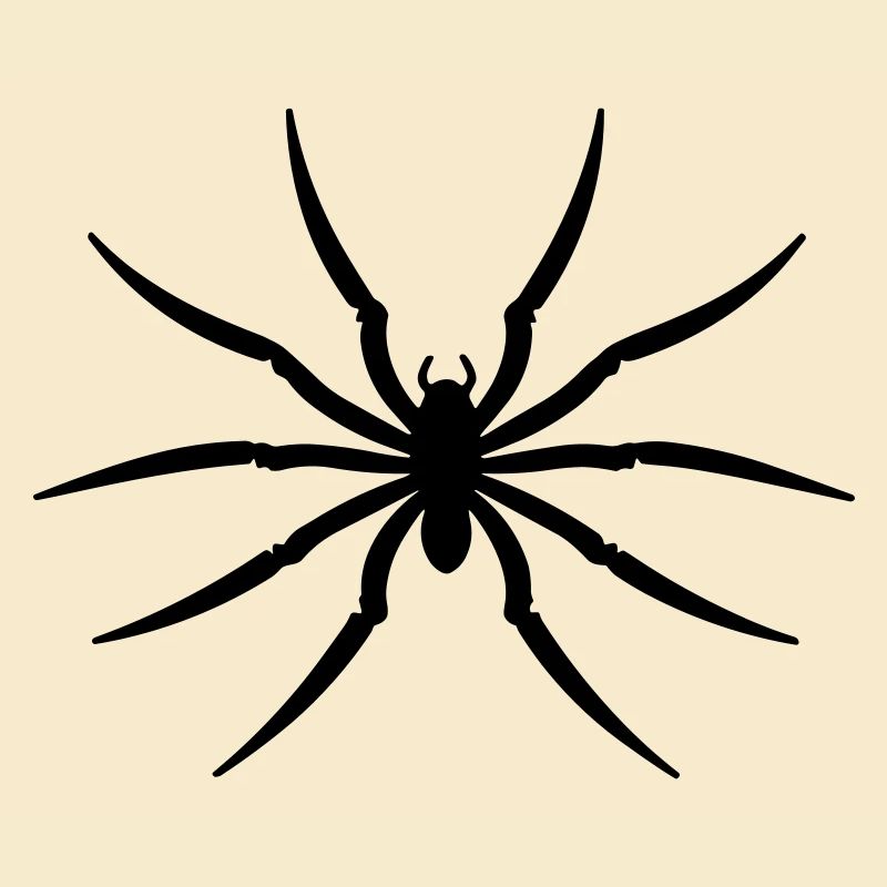 spider