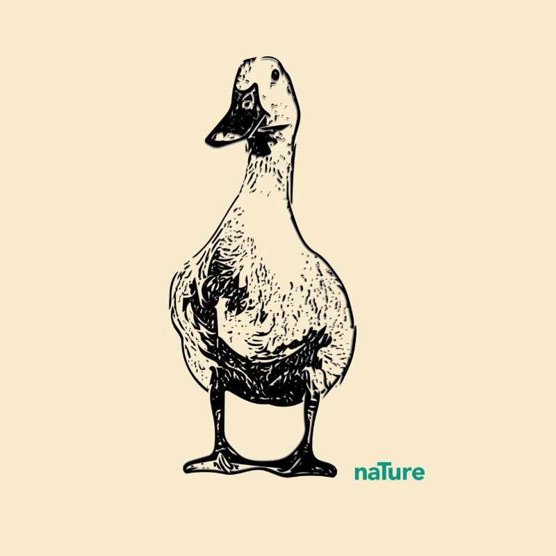Ente