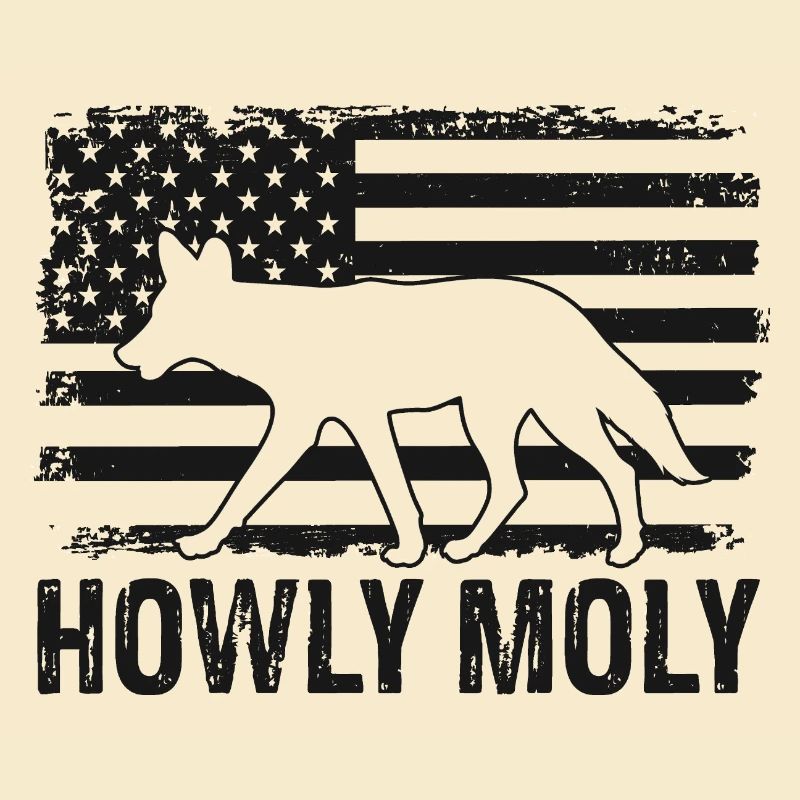 Conception de coyote pour les réacteurs de coyote