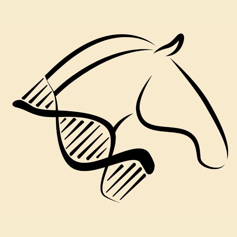 Rider Perd DNA Design