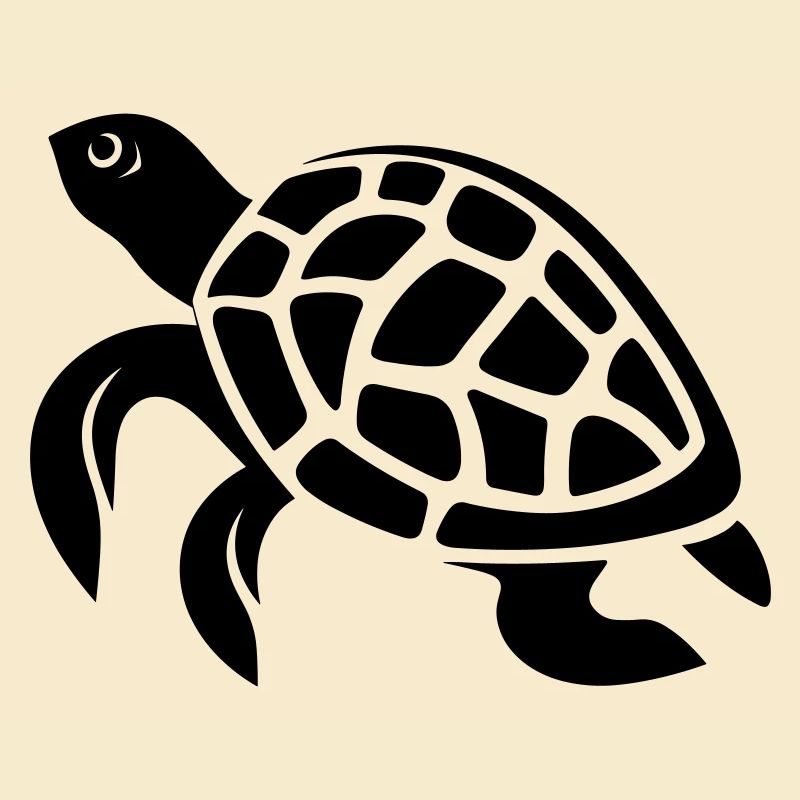 Tortoise