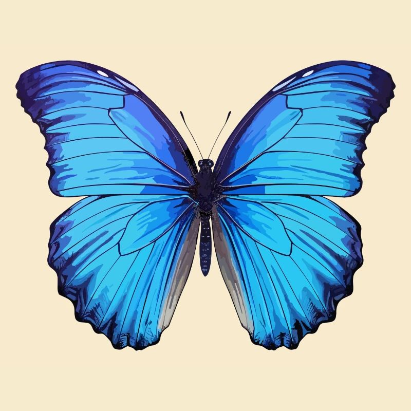 Morpho Papillon Bleu