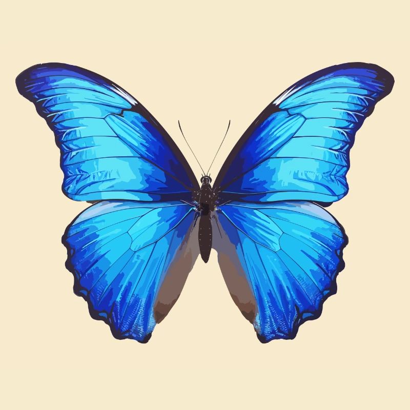 Morpho Papillon Bleu