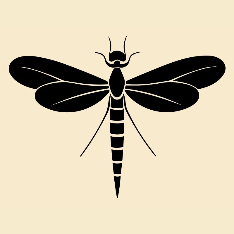 Libellule