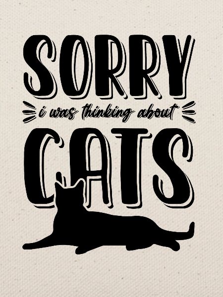 katze katzen witzig