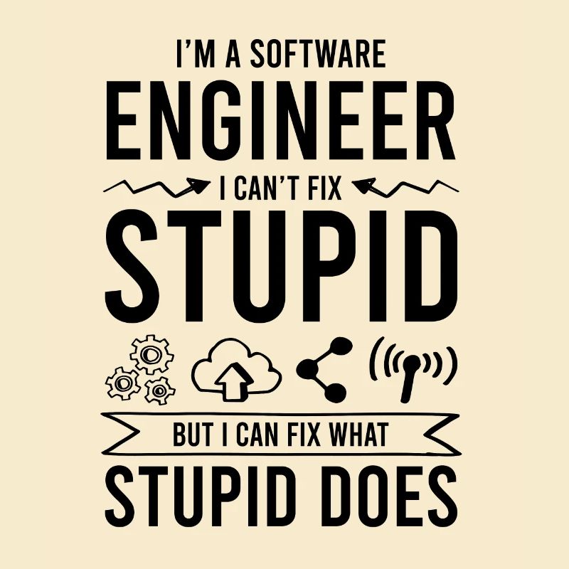 software ingenieur spruch