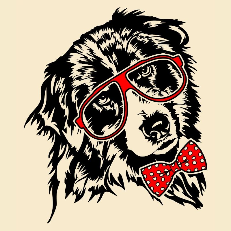 AUSTRALIAN SHEPHERD Brille Hunde Hund Aussie