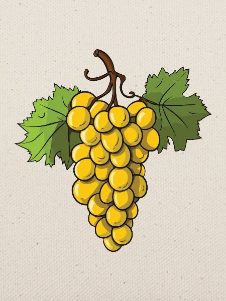 Weintrauben Frucht