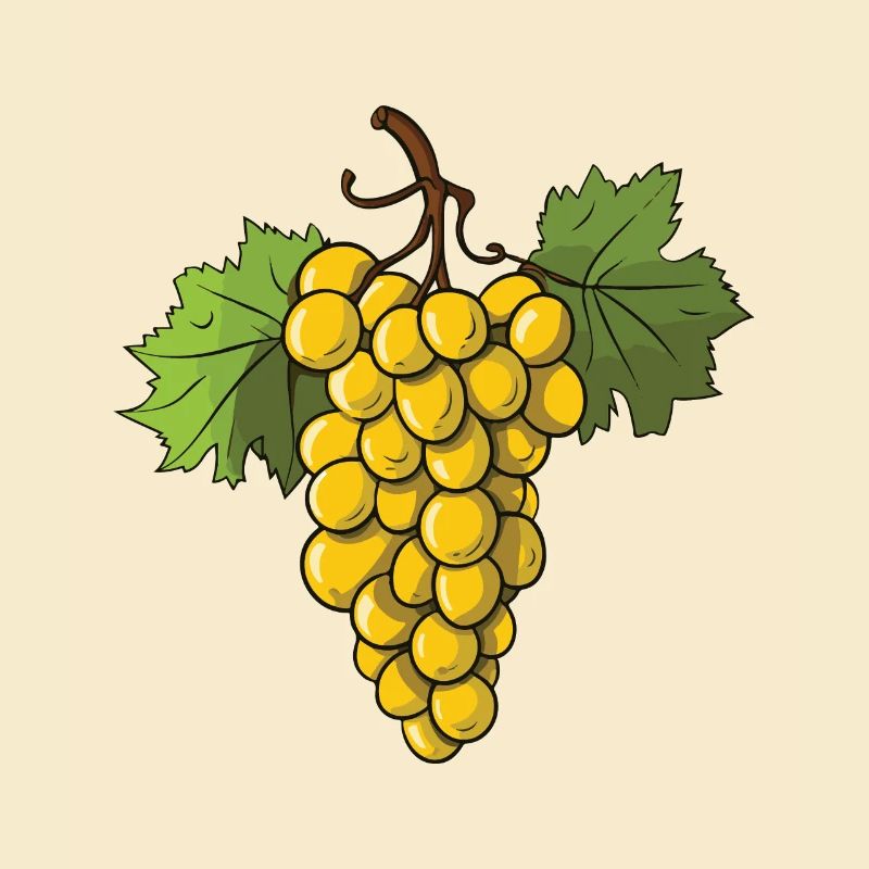 Grapes Fruit