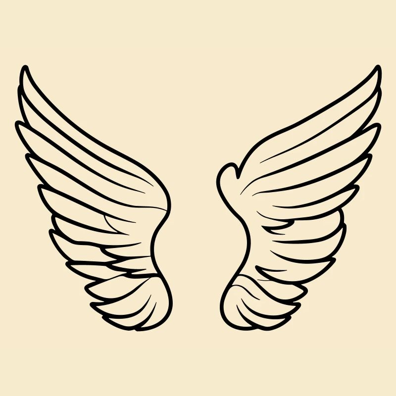 Ailes d'ange