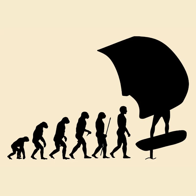 Wingfoil Wingfoiler Evolution