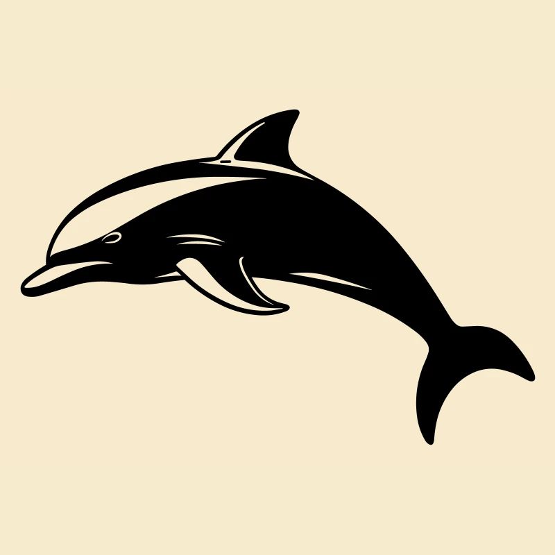 Bébé dauphin