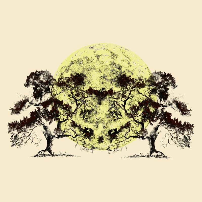 Moon, Forest, Trees, Nature, Botany, Flora